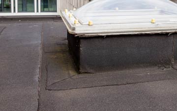 disadvantages of Fluchter flat roofs