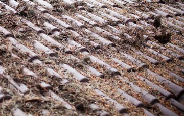 Fluchter roof cleaning companies