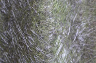 Fluchter fibreglass roof work